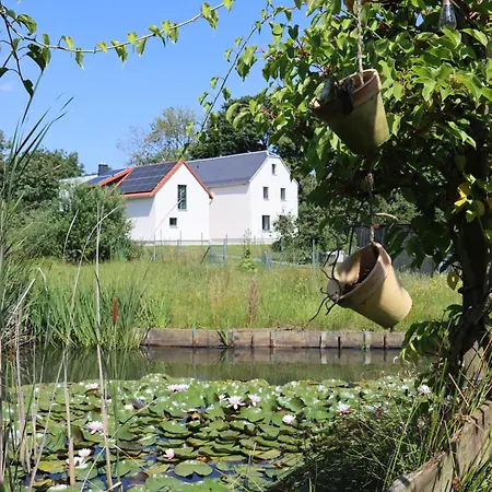 Waldblick Wolschendorf *