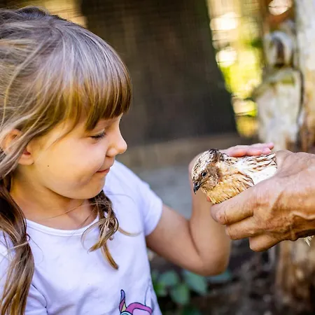 Waldblick Ferienhof Wolschendorf * Neustadt an der Orla