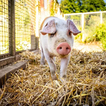 Appartamento Waldblick Ferienhof Wolschendorf Neustadt an der Orla