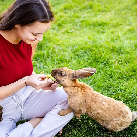 Waldblick Ferienhof Wolschendorf