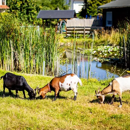 Waldblick Ferienhof Wolschendorf Appartamento Neustadt an der Orla