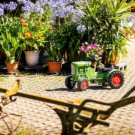 Waldblick Ferienhof Wolschendorf Appartamento Neustadt an der Orla