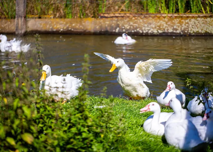 Waldblick Ferienhof Wolschendorf Appartamento *