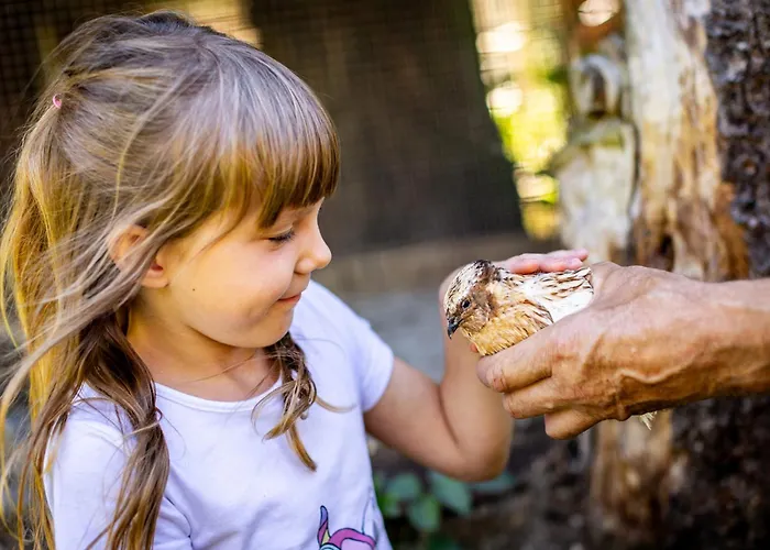 Waldblick Ferienhof Wolschendorf * Neustadt an der Orla