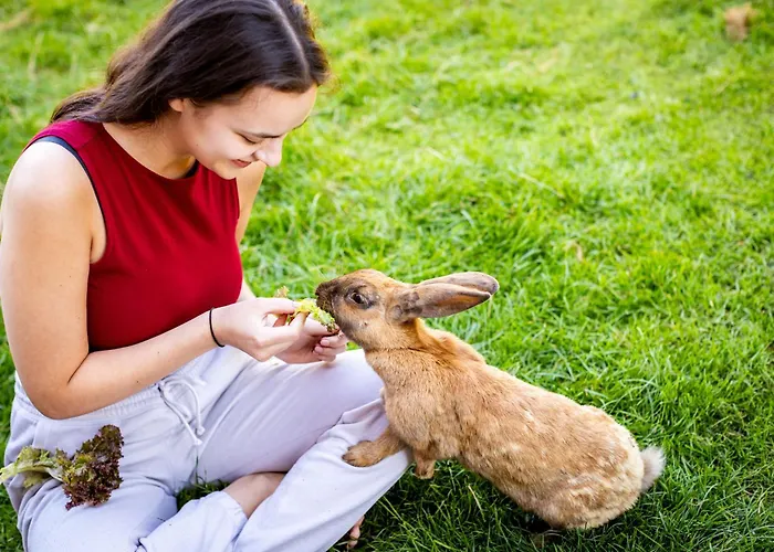 Waldblick Ferienhof Wolschendorf