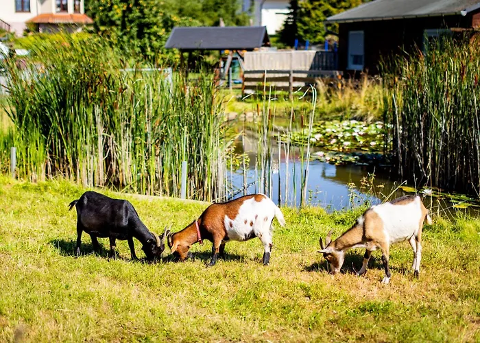 Waldblick Ferienhof Wolschendorf Appartamento Neustadt an der Orla